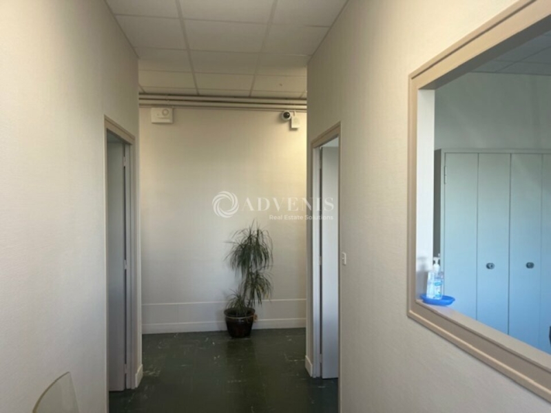 Location Activités Entrepôts JOUE LES TOURS (37300) - Photo 3