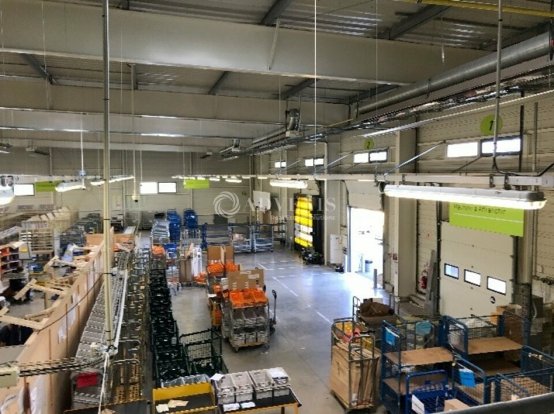 Location Activités Entrepôts JOUÉ-LÈS-TOURS (37300) - Photo 3