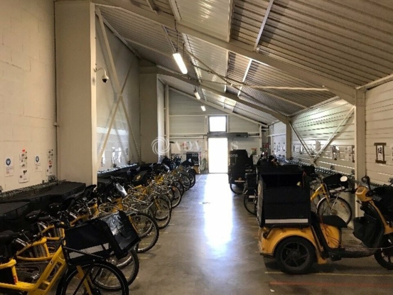 Location Activités Entrepôts JOUÉ-LÈS-TOURS (37300) - Photo 5