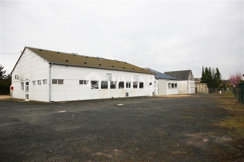 Vente Utilisateur Activités Entrepôts SOUDAY (41170) - Photo 10