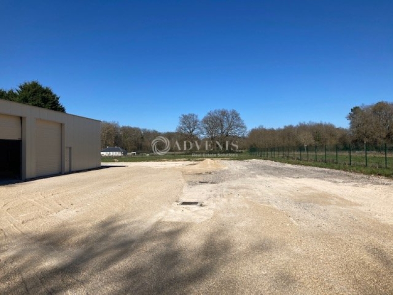 Vente Investisseur Activités Entrepôts CELLETTES (41120) - Photo 2