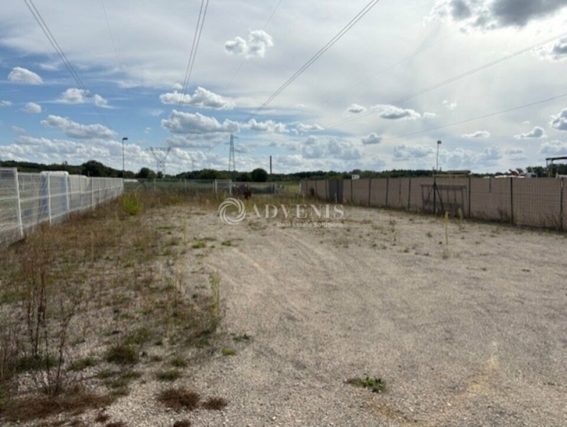 Location Terrain PRUNIERS EN SOLOGNE (41200) - Photo 1