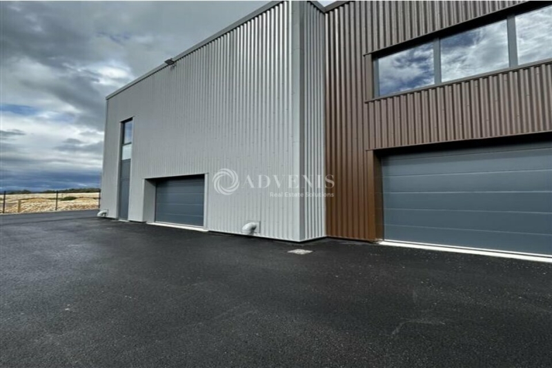 Vente Investisseur Activités Entrepôts VAILHAUQUÈS (34570) - Photo 1