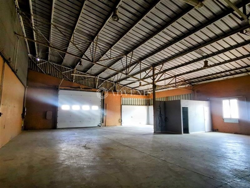 Location Activités Entrepôts DINARD (35800) - Photo 3