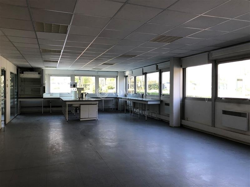 Location Entrepôts TRAPPES (78190) - Photo 4