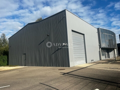 Advenis RES - Immobilier d'entreprises