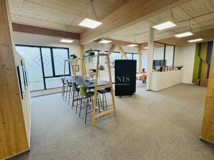 Advenis RES - Immobilier d'entreprises