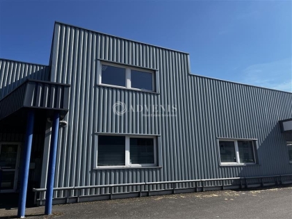 Advenis RES - Immobilier d'entreprises