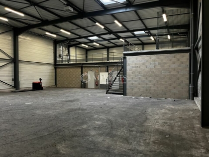 Advenis RES - Immobilier d'entreprises