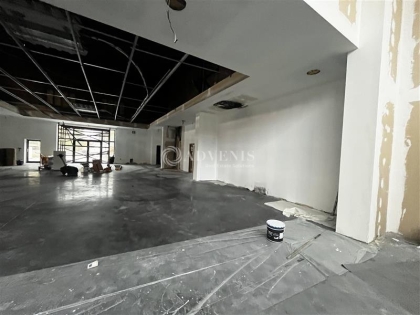 Advenis RES - Immobilier d'entreprises