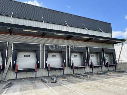 Advenis RES - Immobilier d'entreprises