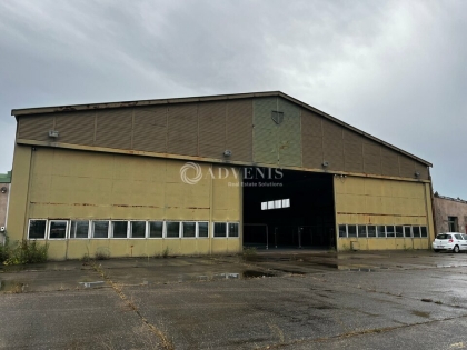 Advenis RES - Immobilier d'entreprises