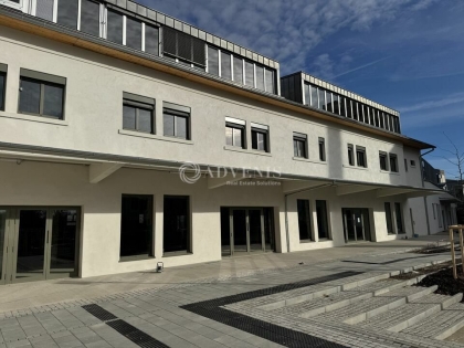 Advenis RES - Immobilier d'entreprises