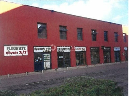 Advenis RES - Immobilier d'entreprises