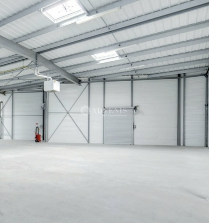 Advenis RES - Immobilier d'entreprises