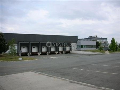 Advenis RES - Immobilier d'entreprises