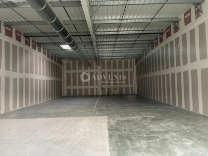 Advenis RES - Immobilier d'entreprises