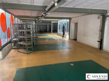 Advenis RES - Immobilier d'entreprises