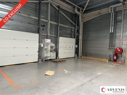 Advenis RES - Immobilier d'entreprises