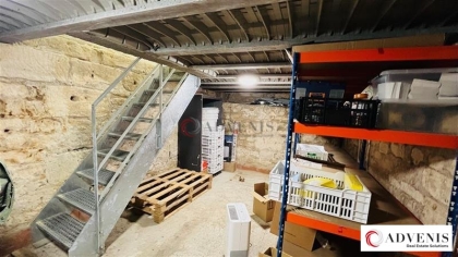 Advenis RES - Immobilier d'entreprises