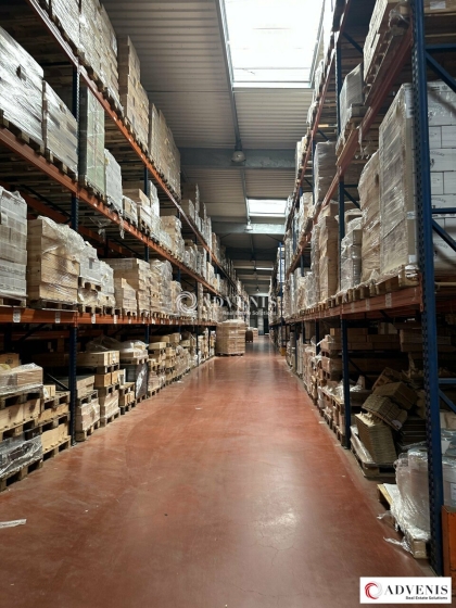 Advenis RES - Immobilier d'entreprises