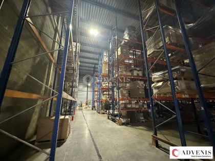 Advenis RES - Immobilier d'entreprises