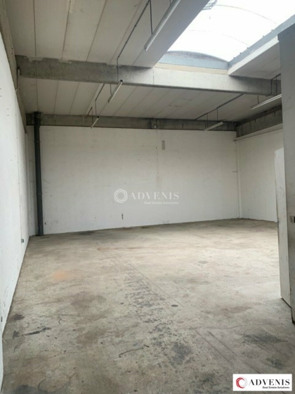 Advenis RES - Immobilier d'entreprises