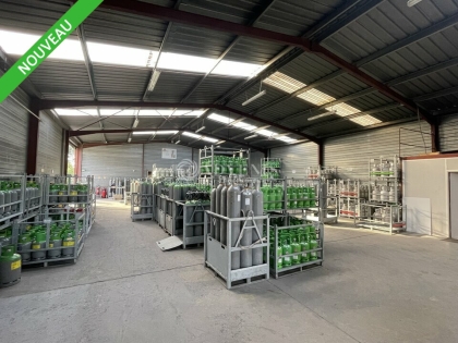 Advenis RES - Immobilier d'entreprises