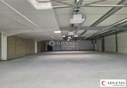 Advenis RES - Immobilier d'entreprises