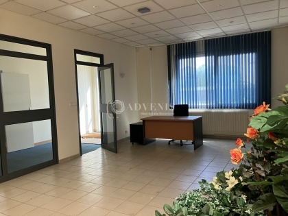 Advenis RES - Immobilier d'entreprises