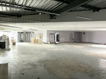 Advenis RES - Immobilier d'entreprises