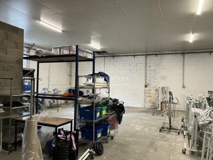 Advenis RES - Immobilier d'entreprises