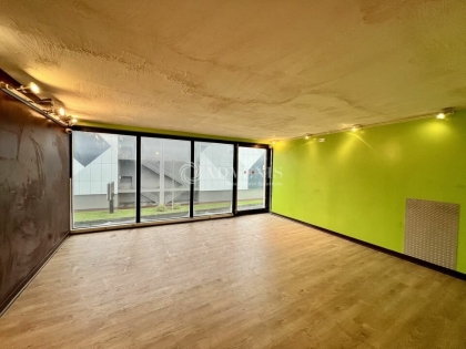 Advenis RES - Immobilier d'entreprises