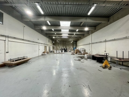 Advenis RES - Immobilier d'entreprises