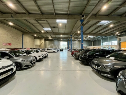 Advenis RES - Immobilier d'entreprises