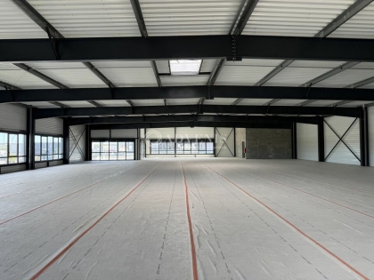 Advenis RES - Immobilier d'entreprises