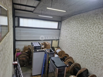 Advenis RES - Immobilier d'entreprises