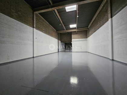 Advenis RES - Immobilier d'entreprises