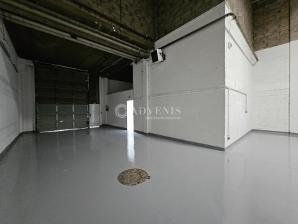 Advenis RES - Immobilier d'entreprises