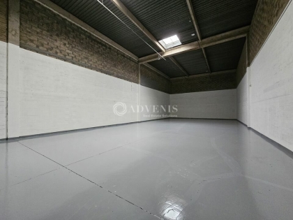 Advenis RES - Immobilier d'entreprises