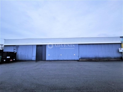 Advenis RES - Immobilier d'entreprises