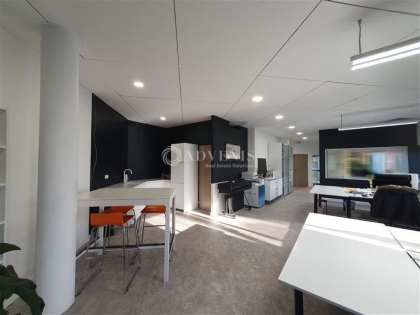 Advenis RES - Immobilier d'entreprises