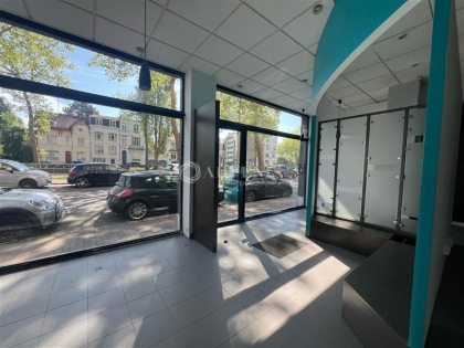 Advenis RES - Immobilier d'entreprises