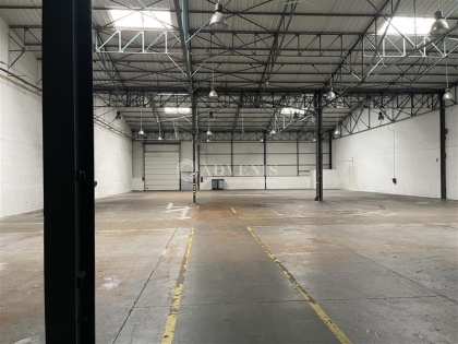 Advenis RES - Immobilier d'entreprises