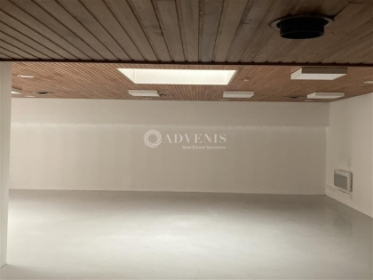 Advenis RES - Immobilier d'entreprises