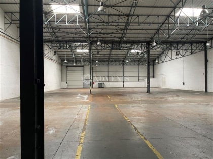 Advenis RES - Immobilier d'entreprises