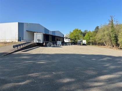 Advenis RES - Immobilier d'entreprises