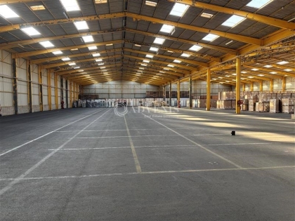 Advenis RES - Immobilier d'entreprises