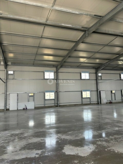 Advenis RES - Immobilier d'entreprises