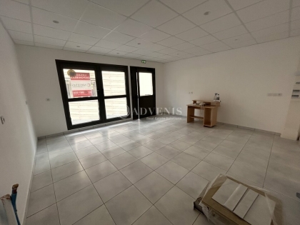 Advenis RES - Immobilier d'entreprises